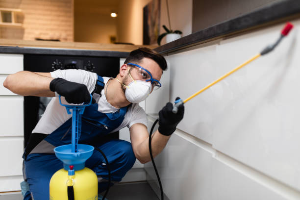 Best Wasp Removal Services  in Prunedale, CA