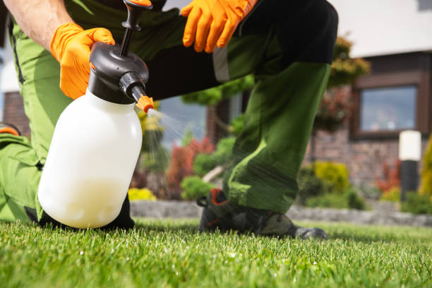 Best Local Pest Control Services  in Prunedale, CA
