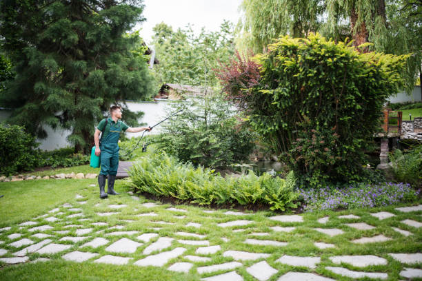 Best Insect Control  in Prunedale, CA