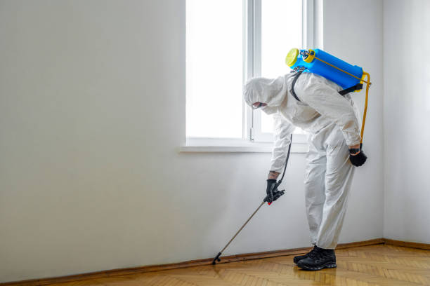 Best Exterminator Services  in Prunedale, CA