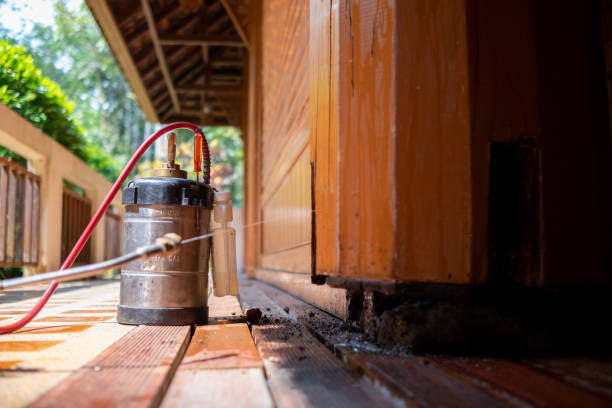 Wasp Removal Services in Prunedale, CA
