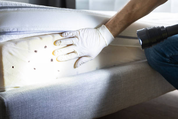 Best Emergency Pest Control  in Prunedale, CA