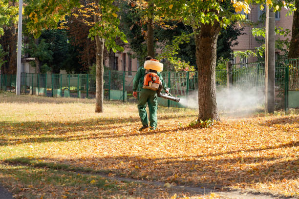 Best Pest Removal Services  in Prunedale, CA