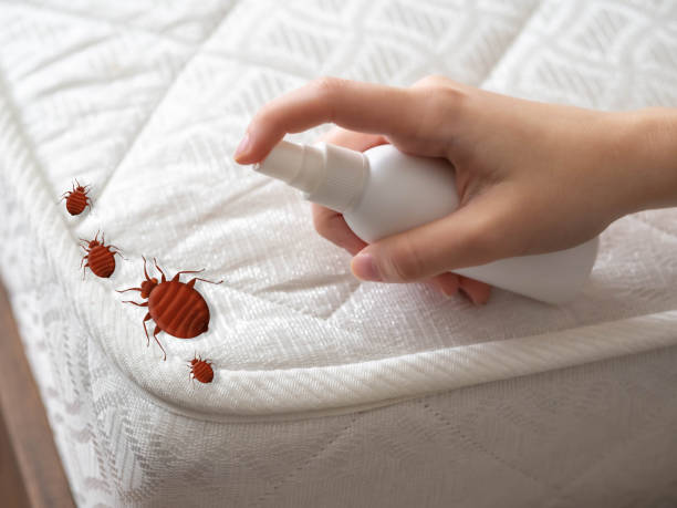 Best Affordable Pest Control Services  in Prunedale, CA