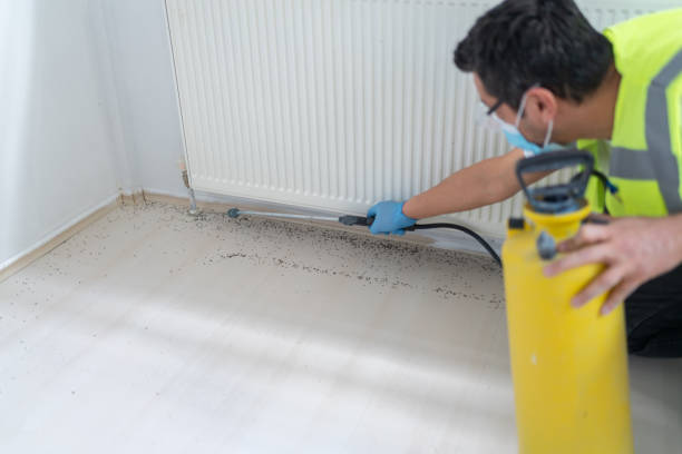 Best Local Pest Control Services  in Prunedale, CA
