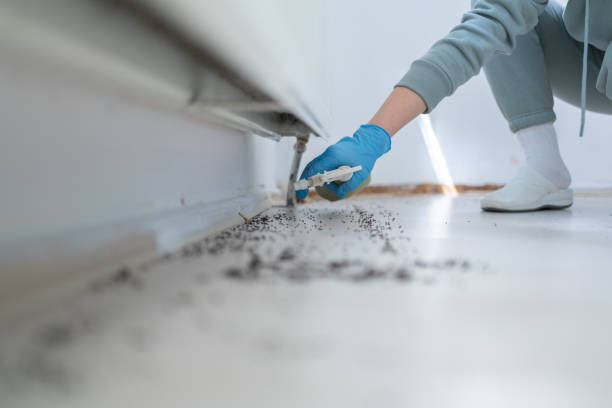 Wildlife Control Services in Prunedale, CA
