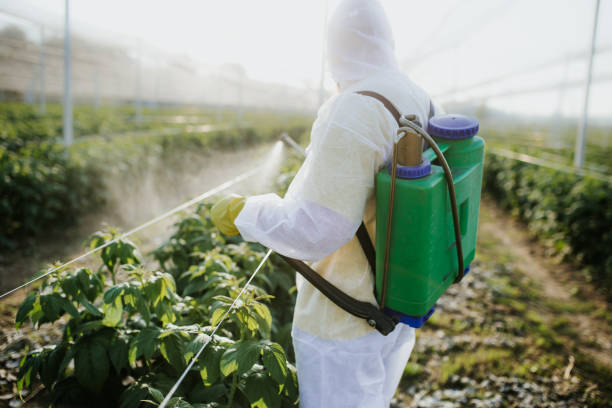 Best Best Pest Control Companies  in Prunedale, CA